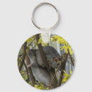 Recherche de rat porteclés Rongeurs