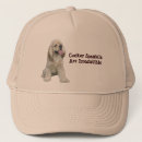 Recherche de cocker casquettes Chiot