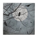 Recherche de oiseaux carreaux Corneille