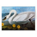 Recherche de peinture de cygne cartes postales Granger