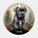 Recherche de cane corso ornements Chiot