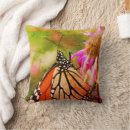 Recherche de papillon abstrait photographie Fleur