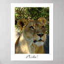 Recherche de chat savane art Lion