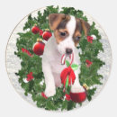 Recherche de russell autocollants Chiot