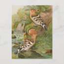 Recherche de hotte cartes postales Illustration