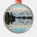 Recherche de snake ornements Réflexion