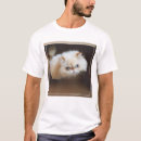 Recherche de plan rapproché photographie Chaton