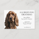 Recherche de chien de cocker cartes visite Dog