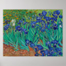 Recherche de purple iris posters Floral