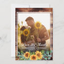 Recherche de sunflower photographie Pour eux