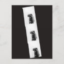 Recherche de appareils photo cartes postales Photographie