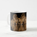 Recherche de lion tasses Kenya