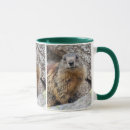 Recherche de marmottes tasses Animal
