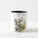Recherche de bulldog tasses Race de chien