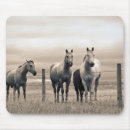 Recherche de cheval quart tapis souris Ranch