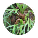 Recherche de légumes planches à découper Fruit