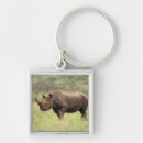 Recherche de rhinocéros porteclés Nature