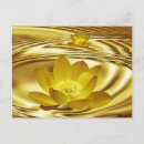 Recherche de lotus cartes postales Spirituel