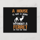 Recherche de furets cartes postales Belette