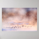 Recherche de grues japonaises posters Paysage