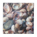 Recherche de coquille de mer carreaux Tuile