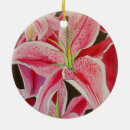 Recherche de stargazer lily decor Aquarelle