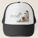 Recherche de amical casquettes Chien
