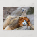 Recherche de singe de bébé cartes postales Animaux mignons