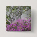 Recherche de magnolia badges Arbre