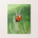 Recherche de coccinelle puzzles Animal