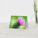 Recherche de chardon écossais vœux cartes Floral