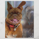 Recherche de dog papier à lettre B
