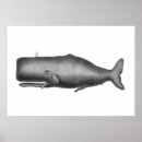 Recherche de d baleine posters Illustration