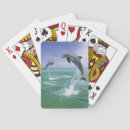 Recherche de nez jeux de cartes Faune
