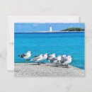 Recherche de nassau cartes postales Phare