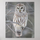Recherche de snowy owl posters Bird