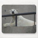 Recherche de ours blanc tapis souris Polaire
