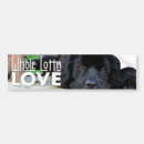 Recherche de newfie voiture autocollants Newfy