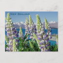 Recherche de fleurs de montagne cartes postales Pittoresque