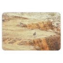 Recherche de tueurs magnets Pour tous