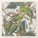 Recherche de perruches dessous de verres Oiseau