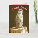 Recherche de meerkat vœux cartes Mignon
