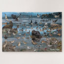 Recherche de otaries puzzles Phoques