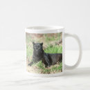 Recherche de puma tasses Faune