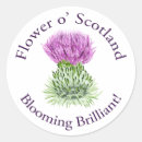 Recherche de fleur chardon autocollants Écossaise