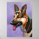 Recherche de chiens de berger posters Dogs