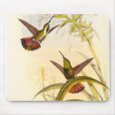 Recherche de colibris tapis souris Feuille