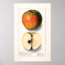 Recherche de botanical posters Kitchen