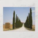 Recherche de culture italienne cartes postales Plein air