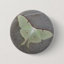 Recherche de mite badges Luna